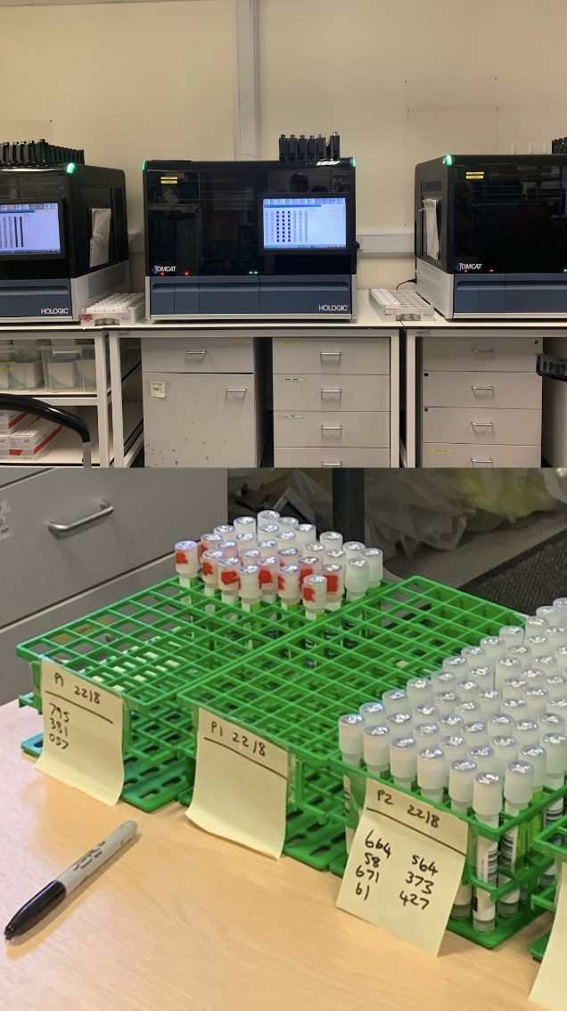 A photo of a screening lab showing testing equipment and test tubes with samples ready to be tested